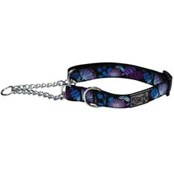Rc pets training collar