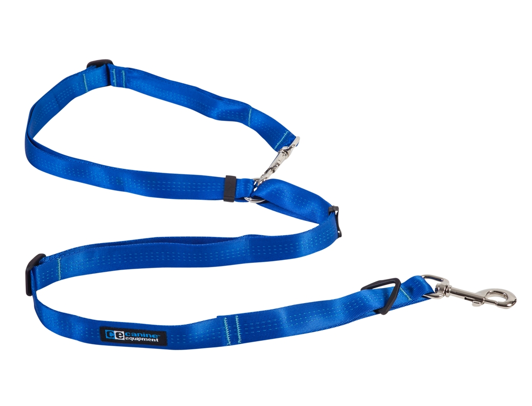 Rc Pet Products Beyond Control Leash